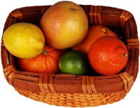 gesunde Ernährung im Winter Ernährungstipps