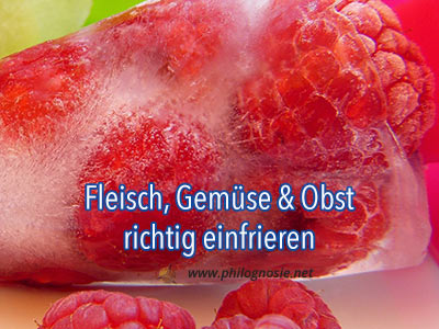 Einfrieren von Fleisch, Gemüse und Obst