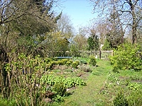 Gartentipps Anfänger Frühling Insektenfreundlicher Garten