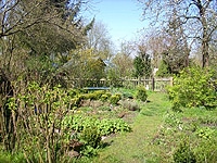 Gartentipps Anfänger Frühling Insektenfreundlicher Garten