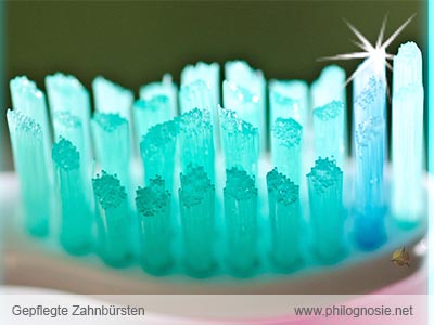 Zahnpflege mit der Zahnbürste