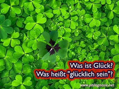 Was ist Glück? Wie falsche Glückskonzepte unglücklich machen