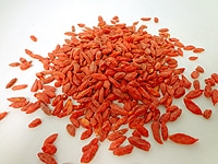 Goji Beeren in Deutschland pflanzen anbauen