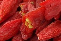 Goji Beeren Samen Saatgut selbst gewinnen