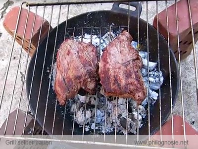 Grill Holzgrill Selber Bauen Philognosie