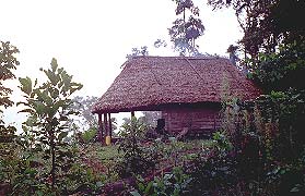 gschwandler