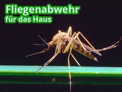 Insektenschutz Fliegen bekämpfen Mücken abwehr
