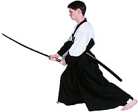 Kendo Kampfkunst