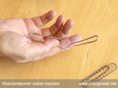 Kirschentkerner selber machen Kirschen entkernen entsteinen