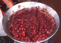 Marmelade Konfit&uuml;re selber machen Einkochen