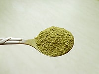 richtige Dosierung von Moringa Oleifera