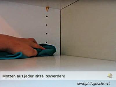 Motten im Schrank loswerden und vorbeugen