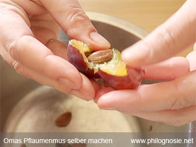 Pflaumenmus Pflaumen entkernen