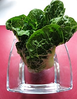 Salat länger frisch halten Trick Tipp