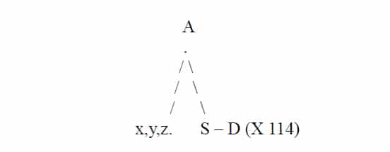 Schema Fichte
