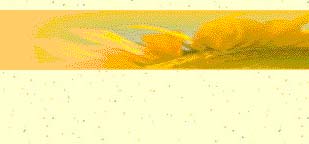 Hintergrundbild Outlook Sonnenblume