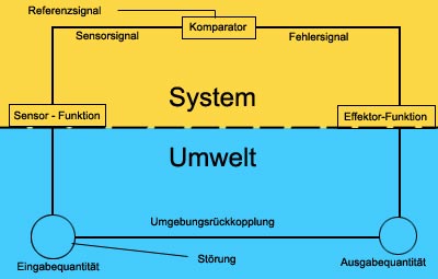 System-Umwelt Diagramm