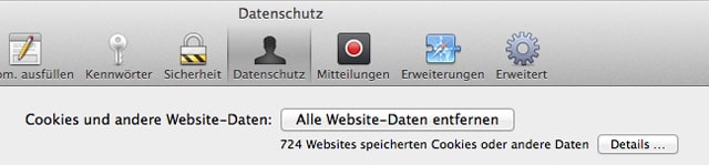 Teporäre Internetdateien mit Safari löschen