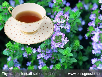 Thymianhustensaft Hustensaft mit Thymian