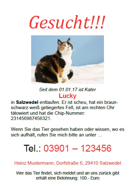 Steckbrief Katze Entlaufen