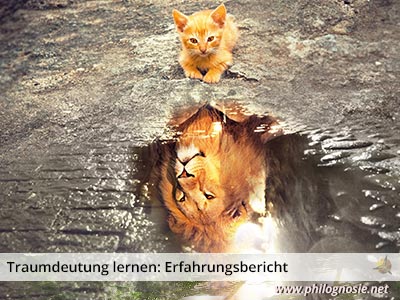 Traumdeutung lernen: Erfahrungsbericht eines Träumers