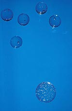 Wasser Zellen