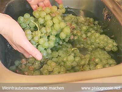 Weintraubenmarmelade selber machen Rezept