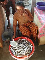Fischmarkt Bali Einkauf shoppen