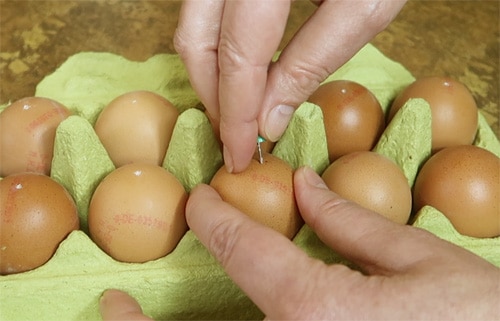 Eier richtig kochen