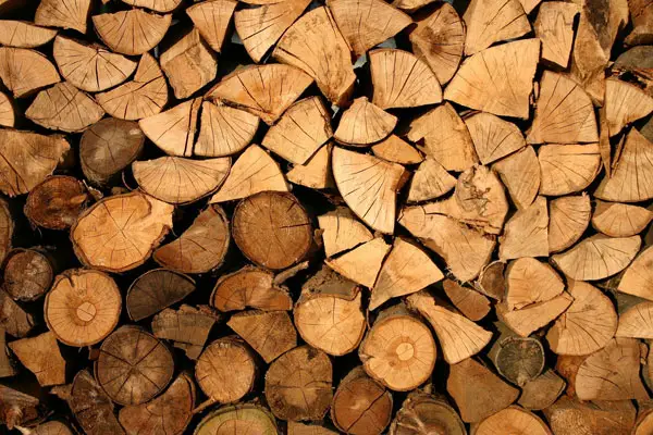 Brennholz richtig einkaufen