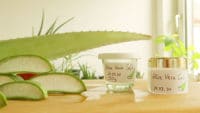 Aloe Vera Gel selber machen