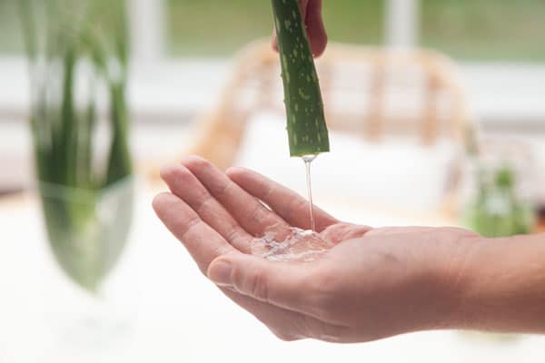 Aloe Vera anwenden äußerlich