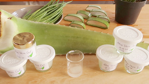 Aloe Vera Gel aufbewahren