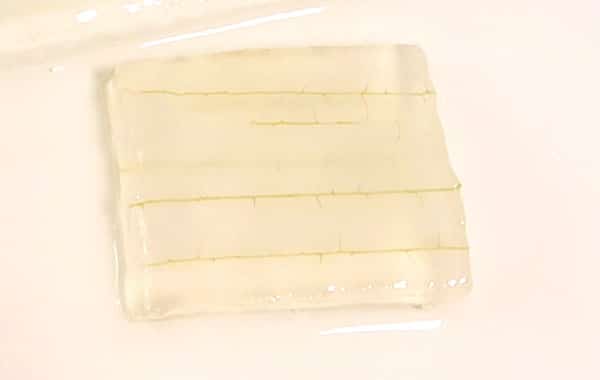 Aloe Vera Gel frisch weiß transparent