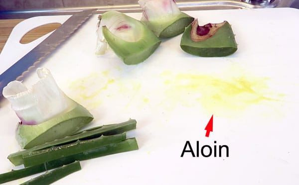 Die Top Produkte - Entdecken Sie hier die Aloe vera gel rötlich verfärbt Ihren Wünschen entsprechend