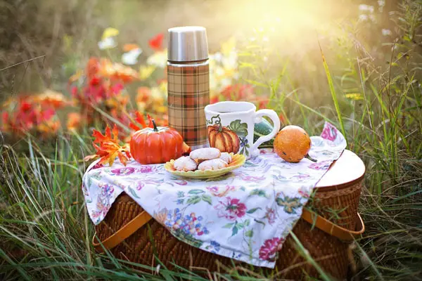 Aktivität bei schönem Wetter Picknick mit Wanderung Freizeit Tipp