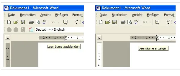 Microsoft Word Seitenrand anzeigen lassen