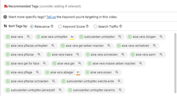 Video Tags optimieren