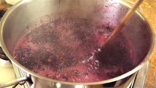 Holundersaft selber machen kochen