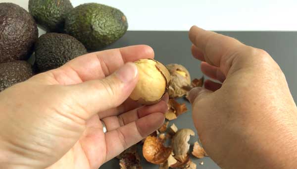 Wie Lange Braucht Ein Avocadokern Zum Keimen Avocadokern keimen lassen & einpflanzen – Philognosie