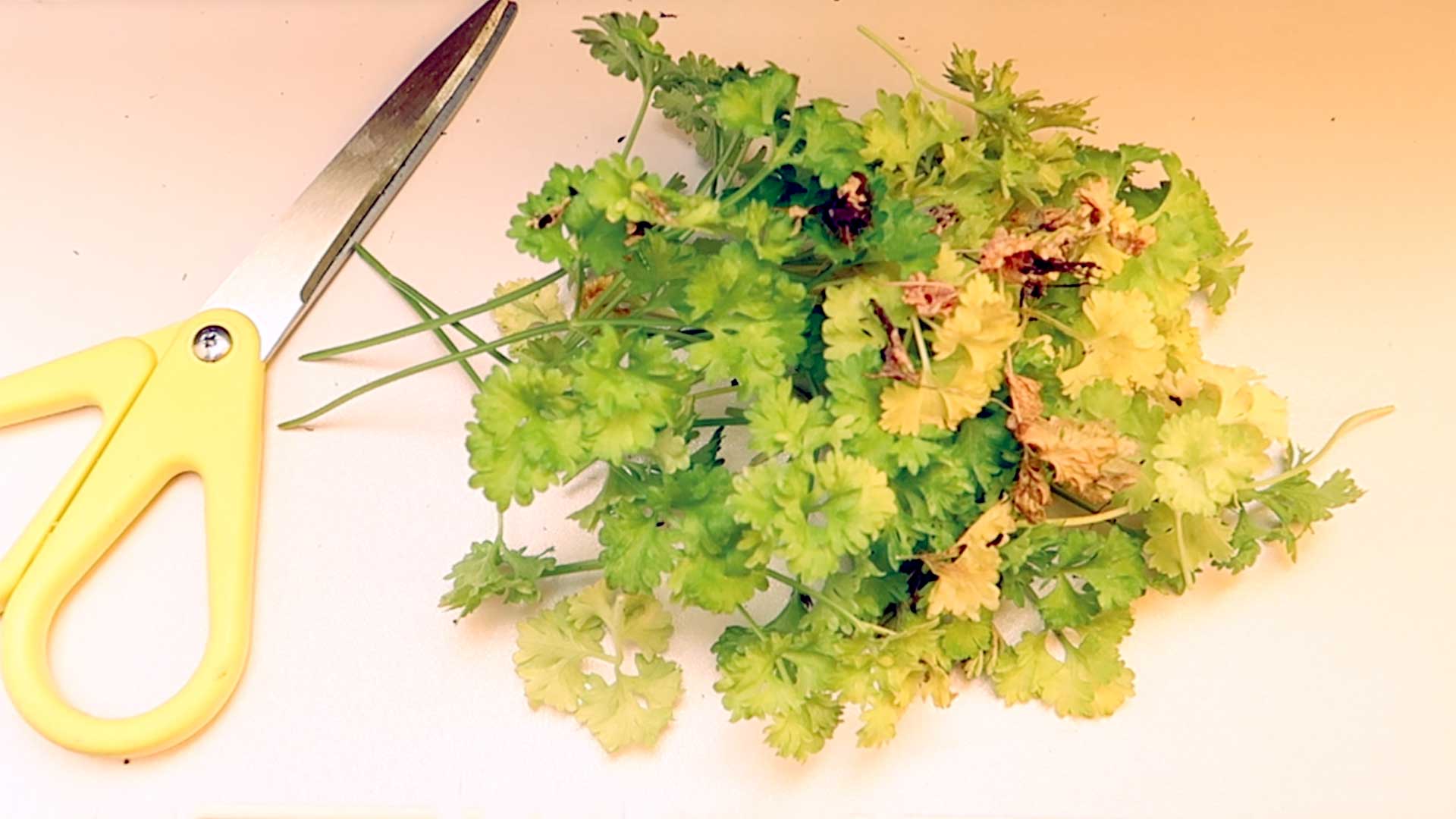 Aktuelle Themen auf Philognosie Philognosie