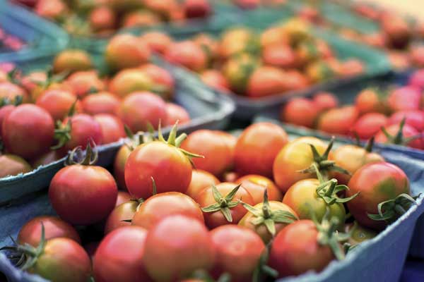 Reife Tomaten im Supermarkt erkennen