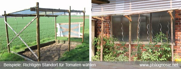 Standort für Tomatenanbau