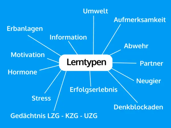 Lerntypen Netzwerk Gehirntätigkeit