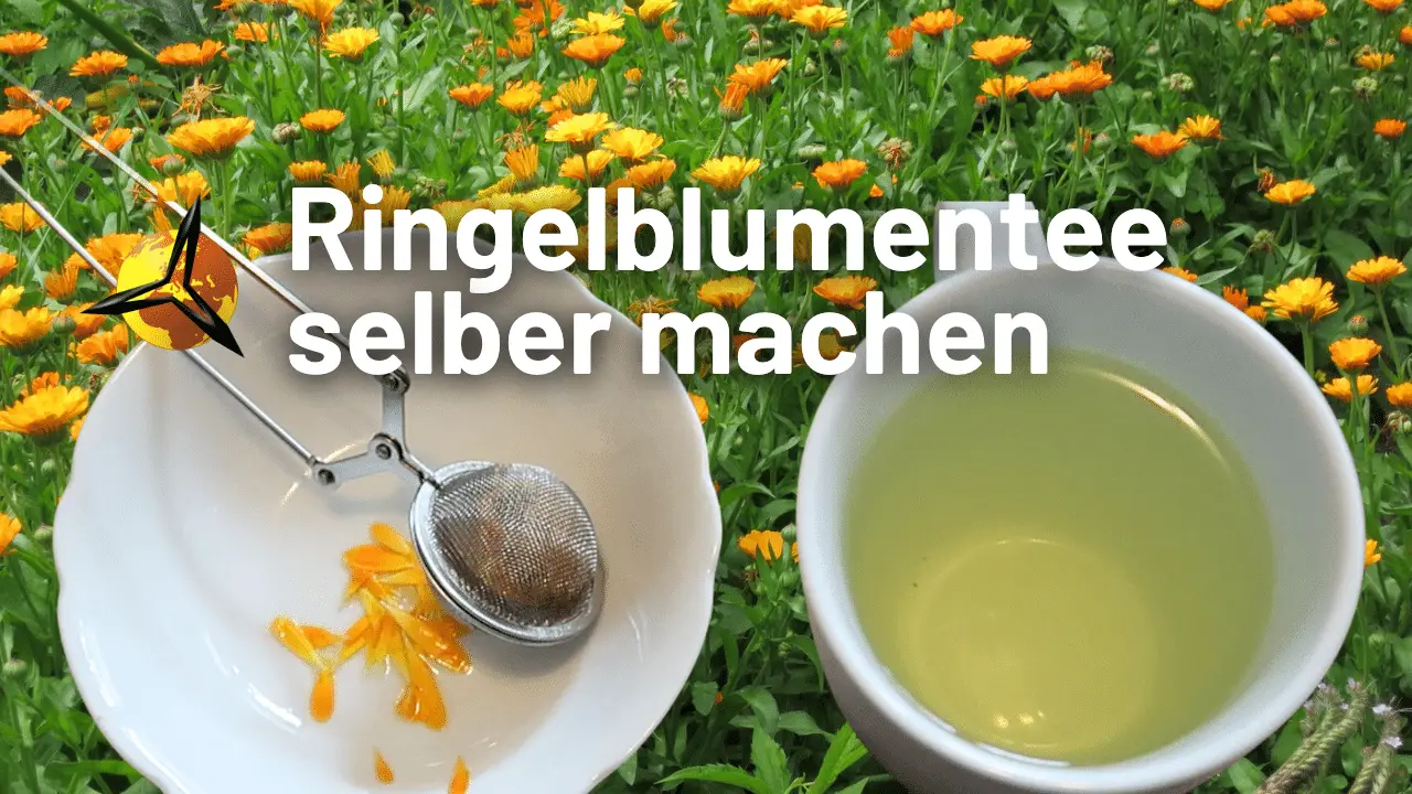 Ringelblumentee selber machen