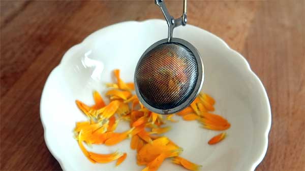 Ringelblumentee mit frischen Blättern zubereiten