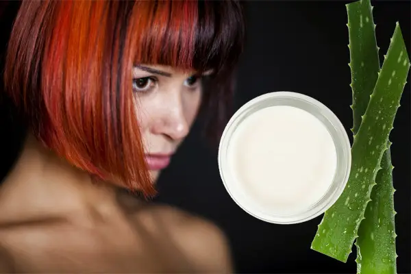 Aloe Vera Haarmaske: Haarkur selber machen  Philognosie