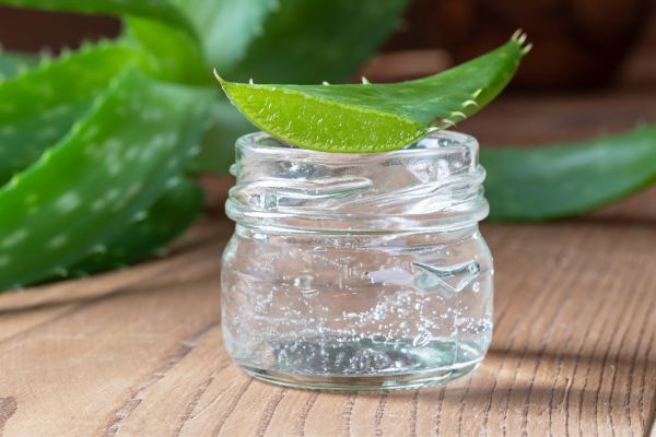Aloe Vera Haarmaske: Haarkur selber machen – Philognosie