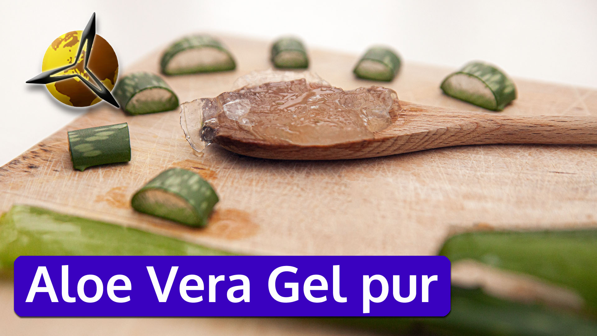 Aloe Vera Gel pur selber aus Blttern ernten  Philognosie