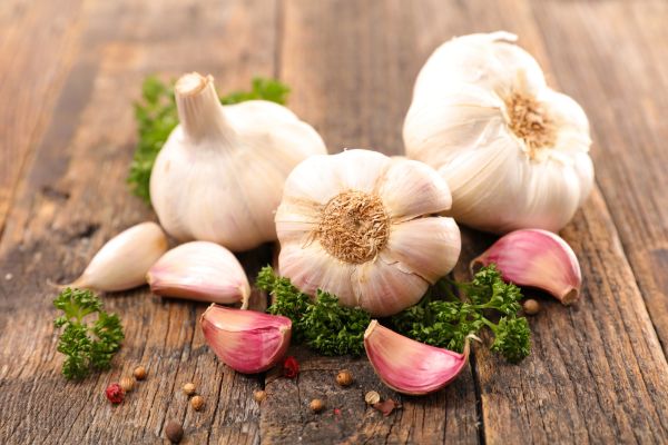 Knoblauch um Pflanzen kaufen